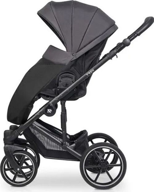 купить Детская коляска Riko Carucior 2in1 Trex antracite в Кишинёве 