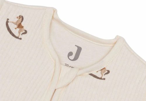 cumpără Haine pentru copii Jollein 016-541-67103 Sac de dormit cu maneci detasabile Nostalgic Ride, 90cm în Chișinău 