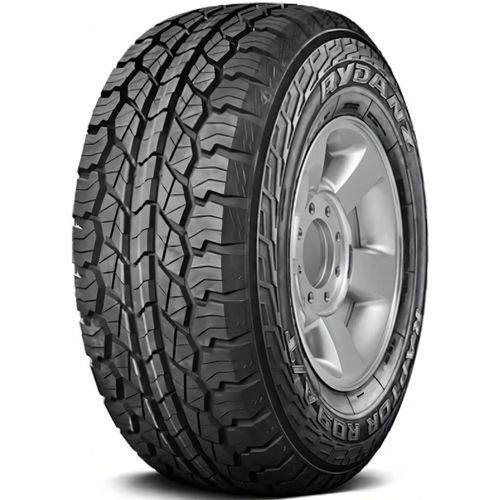 купить Шина RYDANZ 215/70 R16 R09 100H в Кишинёве 