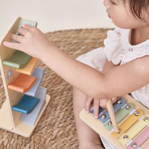 купить Игрушка Viga 44264 Set educativ: "Crește cu mine", (18-24 luni) в Кишинёве 