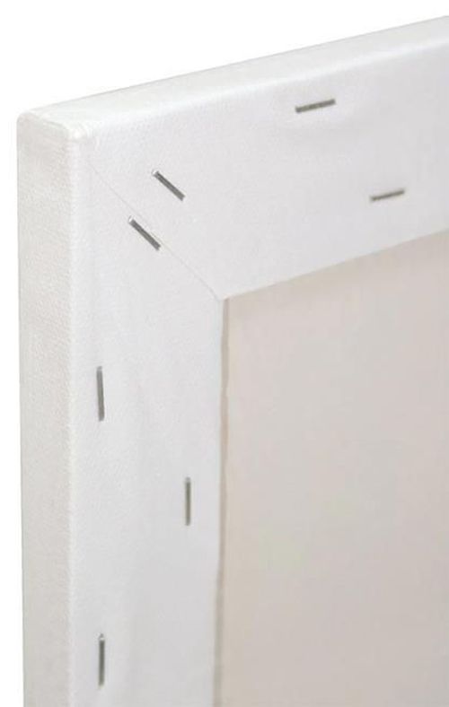 купить Набор для творчества Mont Marte CMST4050 Panza 40.6x50.8cm в Кишинёве 