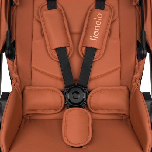 купить Детская коляска Lionelo Carucior 2in1 Layla Brown Rust в Кишинёве 