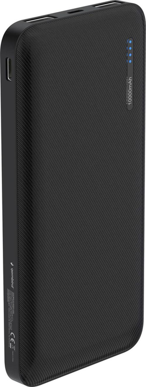 купить Аккумулятор внешний USB (Powerbank) Gembird PB10-02 10000mAh в Кишинёве 