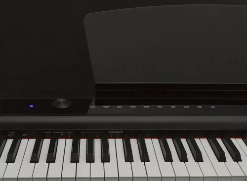 купить Цифровое пианино Greaten P-20 BK в Кишинёве 