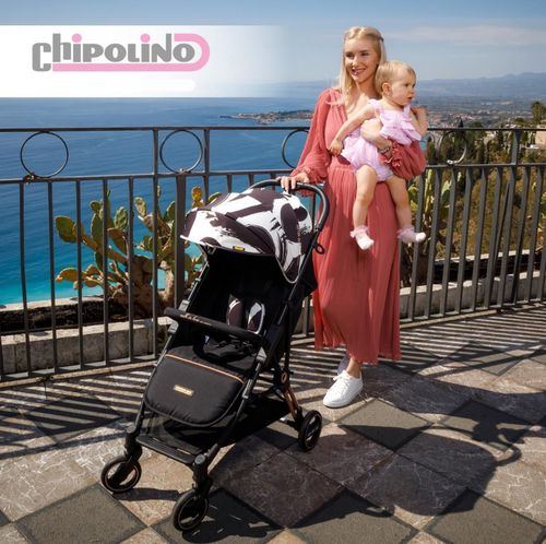 купить Детская коляска Chipolino MOVE ON LKMO02301BW black/white в Кишинёве 