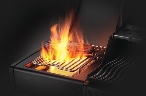 cumpără Grătar Napoleon Gratar pe gaz Freestyle 425 negru cu arzator infrared (FP425DSIBPK-1-CZ) în Chișinău 