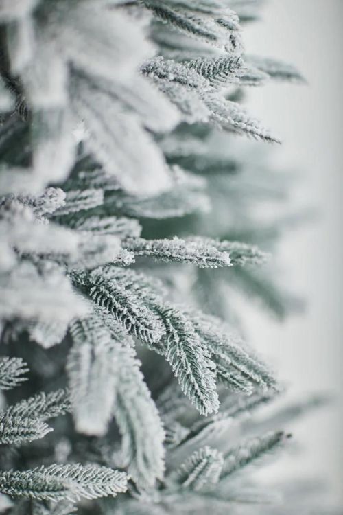 купить Декоративная ёлка Divi Trees Elite Premium Snow 1,8 в Кишинёве 