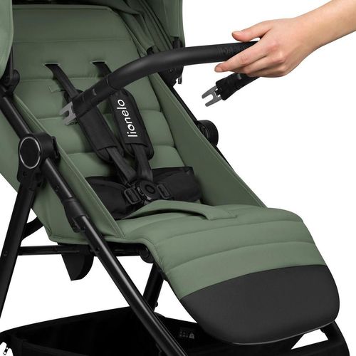 купить Детская коляска Lionelo Iva Green Forest в Кишинёве 