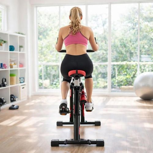 cumpără Bicicletă fitness Arena 85051 тренажер вело în Chișinău 