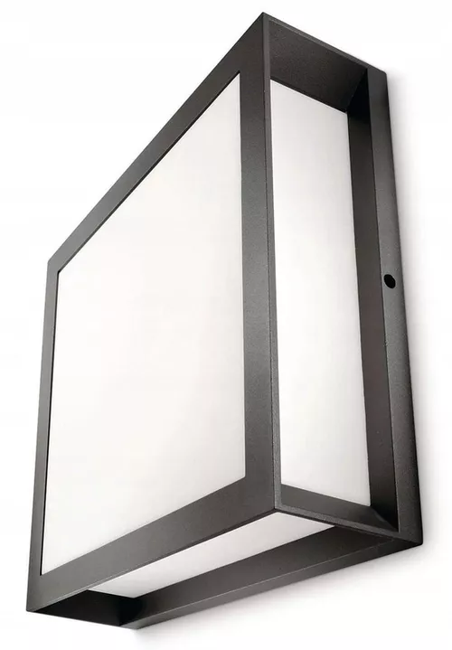 cumpără Aplică exterior Philips SKIES 42 W în Chișinău 