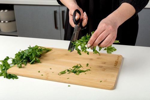 cumpără Foarfecă Nava NV-10-167-048 (для резки зелени) în Chișinău 