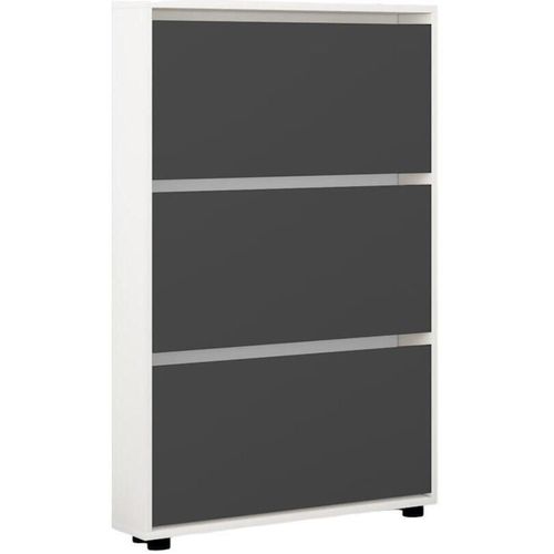купить Полка для обуви Mobildor-Lux Leo Slim 100x16x125H cm White/Anthracite в Кишинёве 