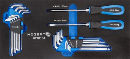 cumpără Sistem de depozitare a instrumentelor Hoegert HT7G058 Carucior de scule cu 7 sertare, 252 de scule în Chișinău 