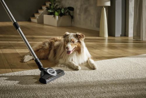 cumpără Perie pentru aspirator Miele STB 305 3 în Chișinău 