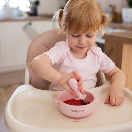 купить Посуда для кормления BabyOno 1662/02 Vas din silicon cu ventuza si capac (roz) в Кишинёве 