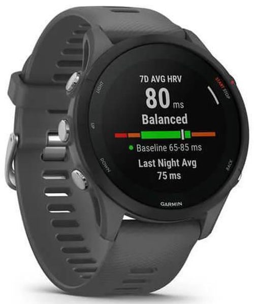 купить Смарт часы Garmin Forerunner 255 Slate Grey (010-02641-10) в Кишинёве 