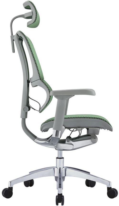 купить Офисное кресло ART Mirus IOO Elite 2 Green T-168-B6 IOOE2-AG-HAM-5D-L в Кишинёве 