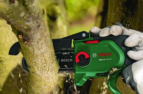 cumpără Fierăstrău Bosch 6008B8900 Pruner Saw în Chișinău 
