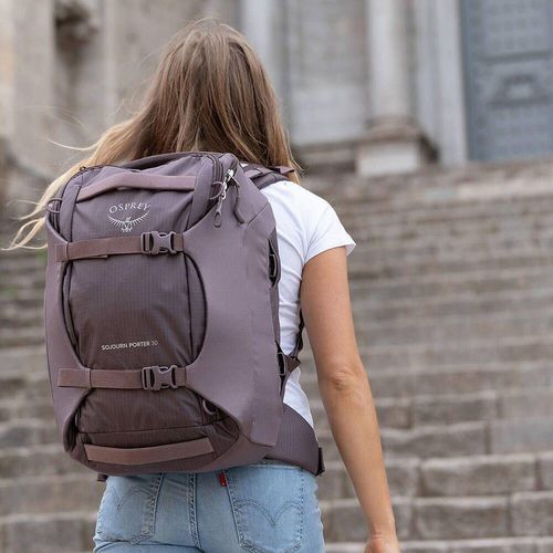cumpără Rucsac sportiv Osprey Porter 30 Brindle Brown (843820166392) în Chișinău 