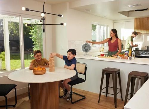 купить Вентилятор напольный Shark FA220EU в Кишинёве 