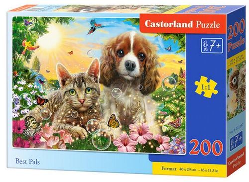 cumpără Puzzle Castorland Puzzle B-222247 Puzzle 200 elemente în Chișinău 