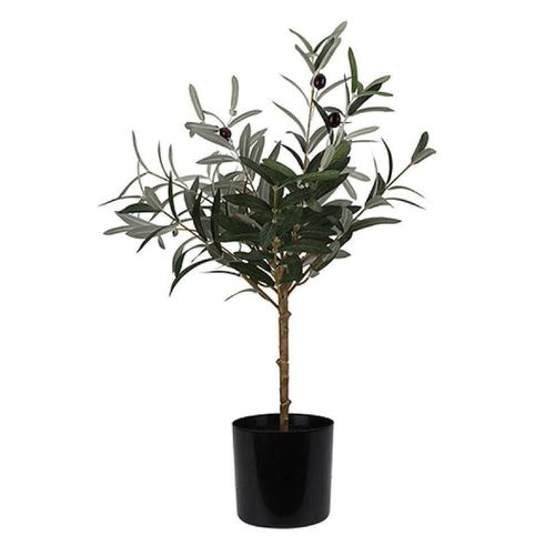 cumpără Plantă artificială Promstore 55249 Maslin 66cm, in ghiveci în Chișinău 