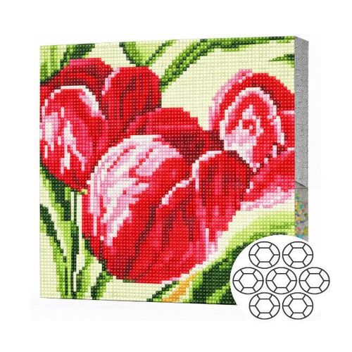 cumpără Tablou pe numere Art Gallery BJ700 Mozaic cu diamante 20x20cm Lalele rosii în Chișinău 