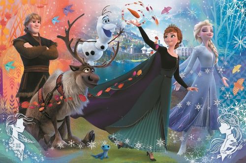 купить Головоломка Trefl 50022 Puzzles - 160 XL - Discover the world of Frozen / Disney Frozen в Кишинёве 