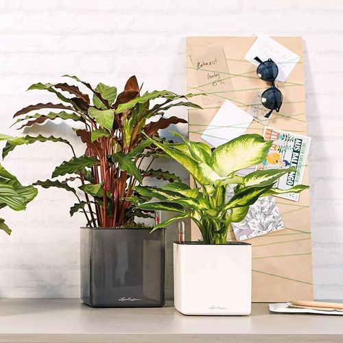 купить Цветочный горшок Lechuza Cube Glossy 16, Scarlet Red в Кишинёве 