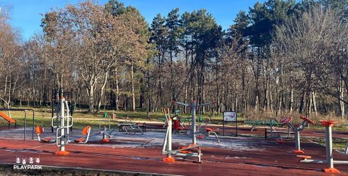 cumpără Echipament pentru exerciții în aer liber PlayPark 2105 Step+Twist B-05 în Chișinău 