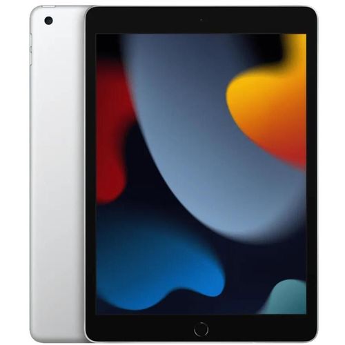 купить Планшетный компьютер Apple iPad 9 2021 10.2 Wi-Fi 256GB Silver MK2P3 в Кишинёве 
