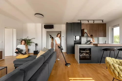 купить Пылесос беспроводной Gorenje SVC296749NEBL в Кишинёве 