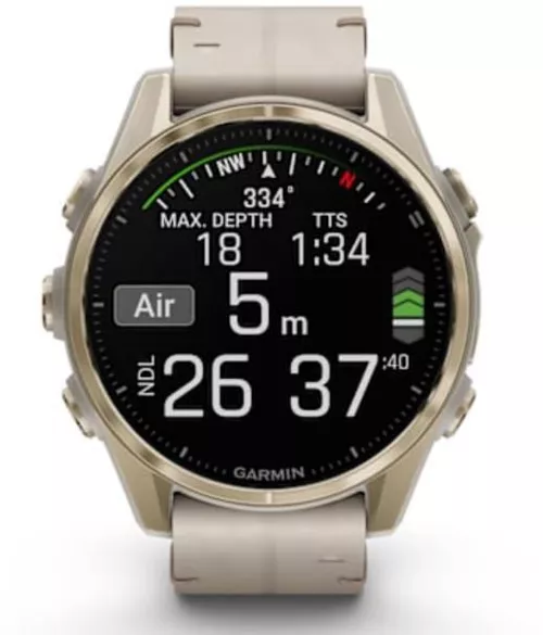купить Смарт часы Garmin Fenix 8 – 43 mm, Sapphire, Soft Gold Stainless Steel with Fog Gray Leather Band, Fog Gray (010-02903-40) в Кишинёве 