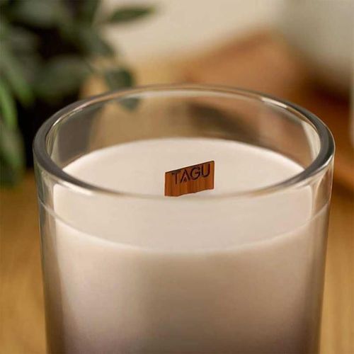 купить Свеча TAGU CandlePlace cu trosnet si miros de semineu в Кишинёве 