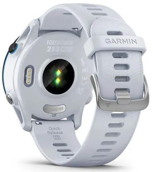 купить Смарт часы Garmin Forerunner 255 Music Whitestone (010-02641-31) в Кишинёве 