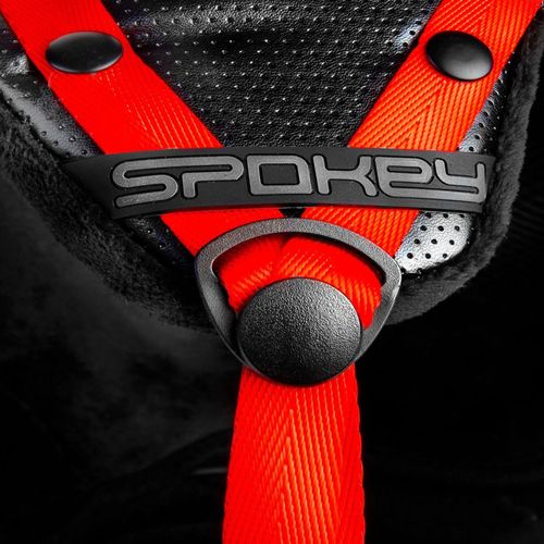 купить Защитный шлем Spokey 926527 ROBSON BK L-XL в Кишинёве 