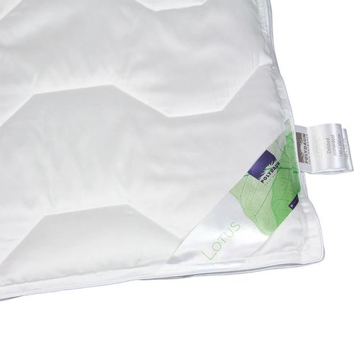 cumpără Plapumă Polydaun 1PLOT7124220 Lotus dekbed 240x220 White în Chișinău 