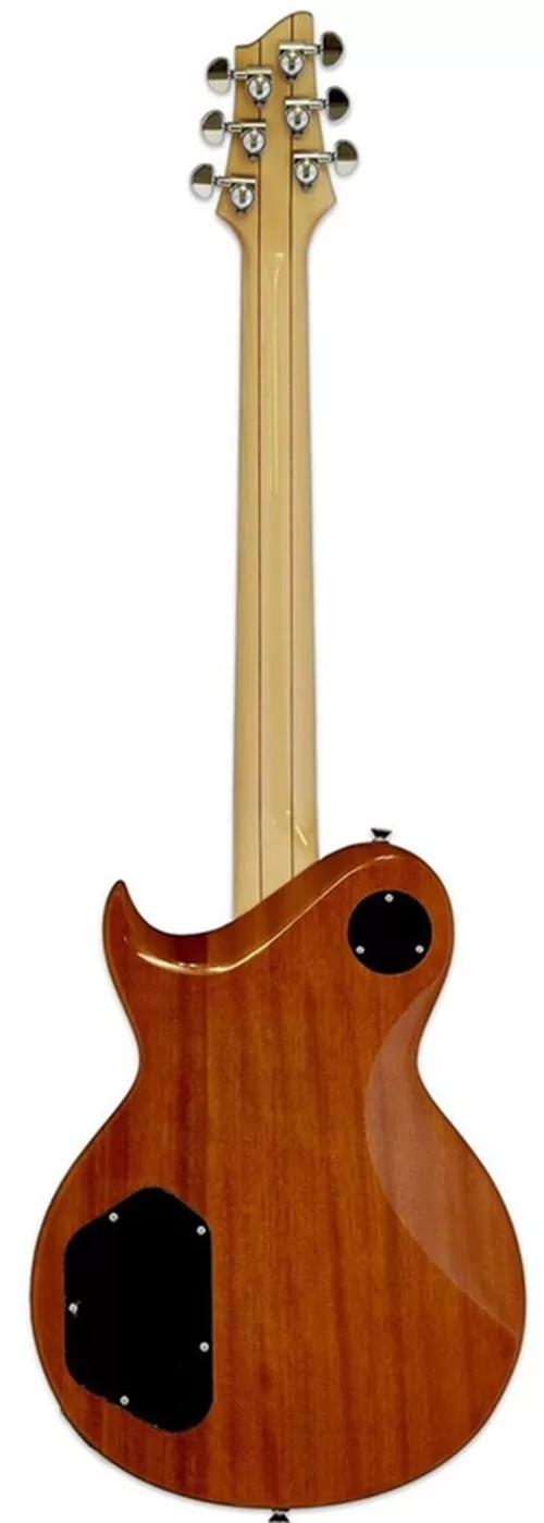 cumpără Chitară Aria Pro II PE-480 BS în Chișinău 