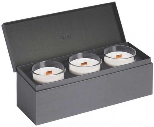 купить Свеча TAGU CandlePlace 3 cu trosnet si miros de semineu в Кишинёве 