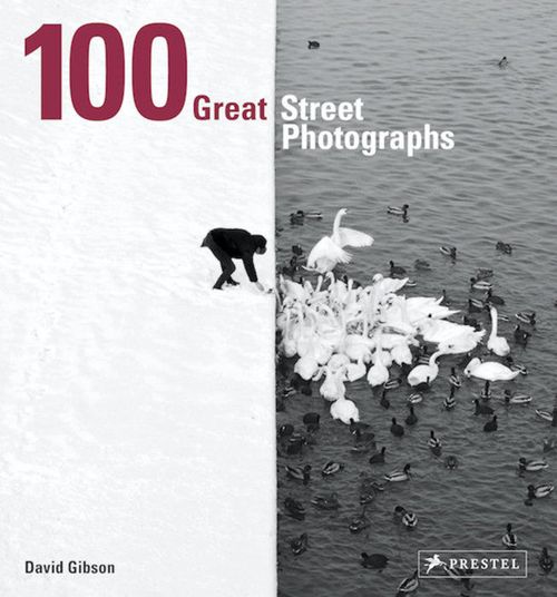 купить 100 Great Street Photographs - David Gibson в Кишинёве 
