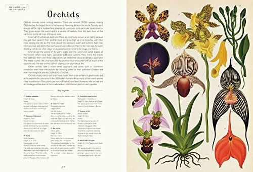 купить Botanicum Collectors edition-by Kathy Willis(eng) в Кишинёве 