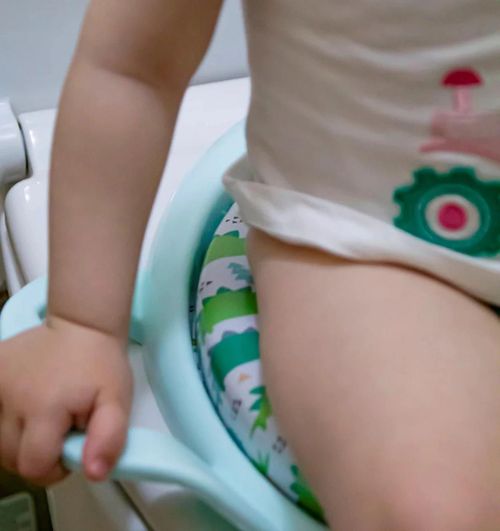 cumpără Oală BabyJem 064 Reductor moale pentru toaleta Menta în Chișinău 