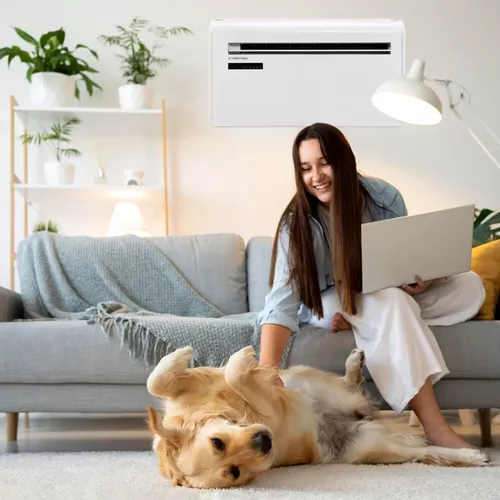 купить Кондиционер мобильный Trotec PAC-W 2650 SH в Кишинёве 