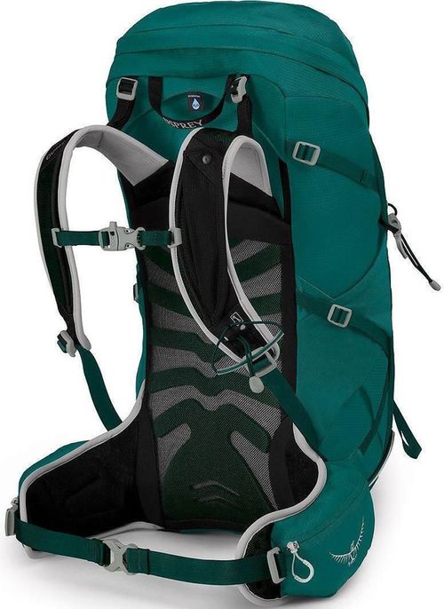 cumpără Rucsac turistic Osprey Tempest 34 jasper green WXS/S în Chișinău 