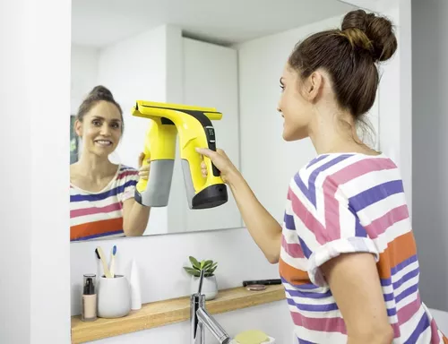 купить Стеклоочиститель Karcher WV 6 Plus в Кишинёве 