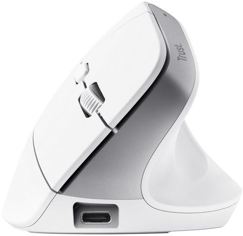 купить Мышь Trust TR25399 Bayo+, White в Кишинёве 