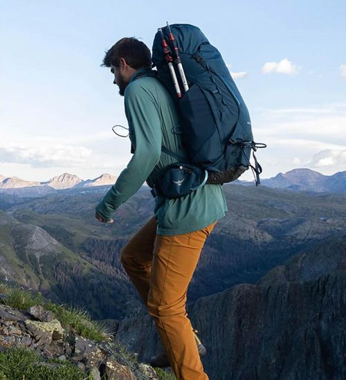 купить Туристический рюкзак Osprey Kestrel 68 Bonsai Green L/XL в Кишинёве 