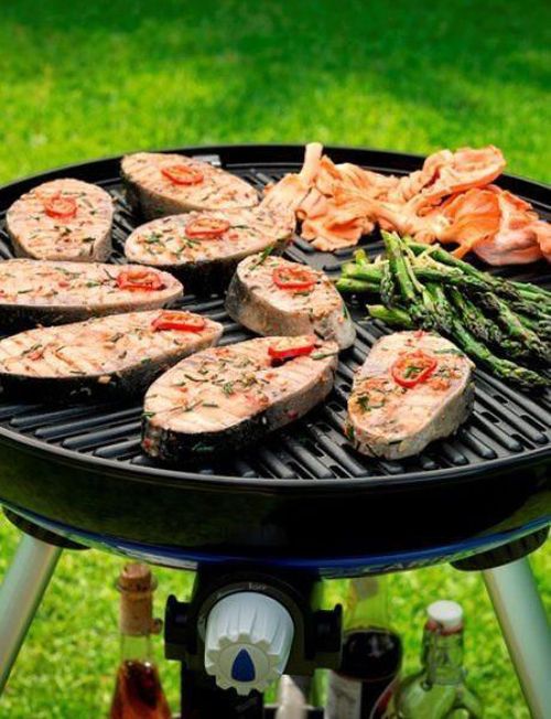 купить Мангал Cadac Carri Chef 50 BBQ 30 mbar в Кишинёве 