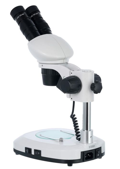 cumpără Microscop Levenhuk 4ST Binocular Microscope în Chișinău 
