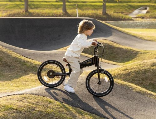 купить Велосипед Qplay Motor 3in1 16 Black в Кишинёве 